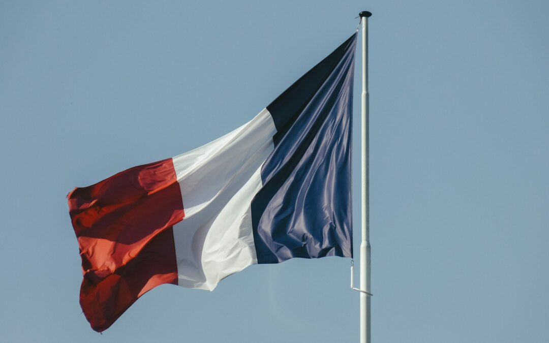 Trois députés sortants réélus lors des élections législatives partielles pour les Français établis à l’étranger