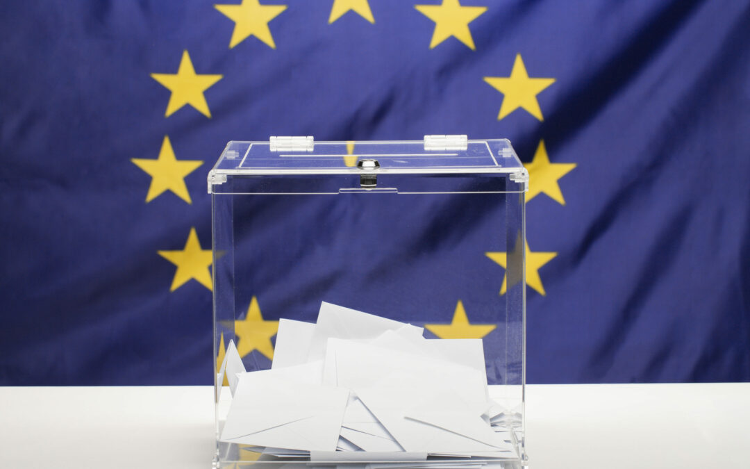 Élections européennes 2024 : Quelles spécificités pour les Français de l’Union européenne ?