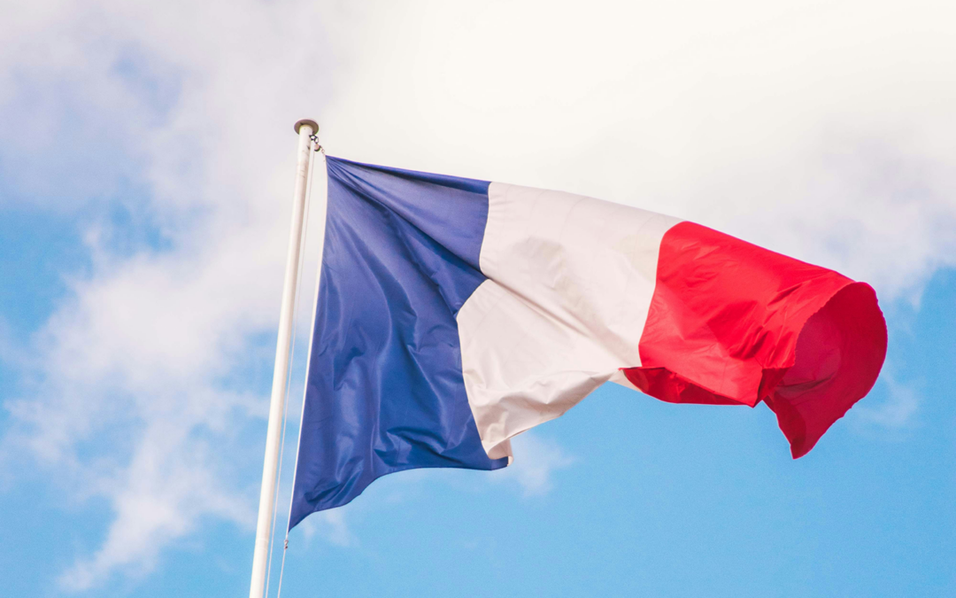 Élections législatives 2024 : résultats dans les circonscriptions des Français de l’étranger