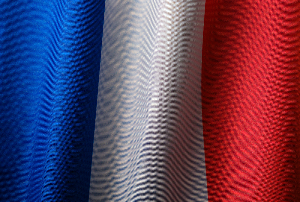 Élections législatives 2024 : résultats du premier tour chez les Français de l’étranger