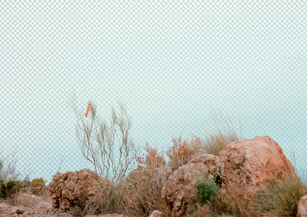 Simon Collet « Screenshot 2 » 2016 simoncollet.wtf