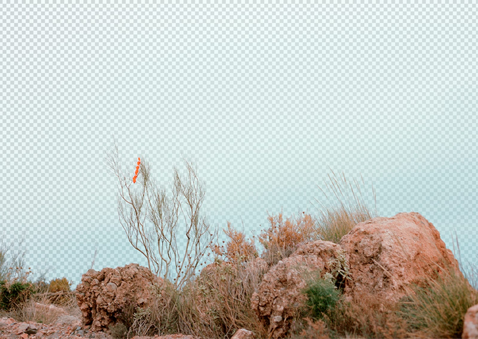 Simon Collet « Screenshot 2 » 2016 simoncollet.wtf