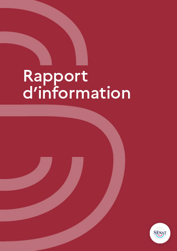Rapport EFE - Sénat 2026 Rapport EFE - Sénat 2026
